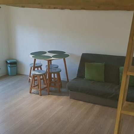 Appartamento Hyper-Centre 2 Lits Climatiseur Castres  Esterno foto